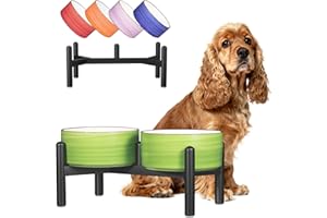 PTOBER Ceramic Elevated Dog Bowl Set - Dog Feeder Station with Colorful Double Bowls for Small and Medium Size Breed - Non-Slip Raised Dish for Food and Water Feeding- 6 Inch - 3.5 Cups / 22 fl oz - Green