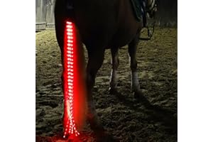 SSZYace Horse Equipment Reiten Schwanz Trappings Equestrian LED Flashing Light Bar Harness Outdoor Sports USB Charge Reiten Dekorationen (Rot)