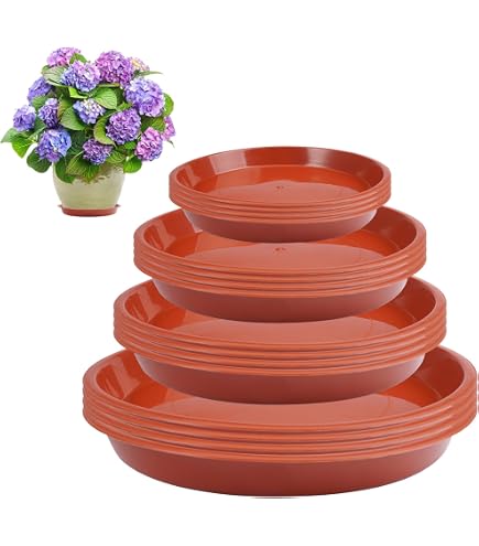 Lot De 5 Soucoupes Pour Plantes, Soucoupes Pour Pots De Fleurs Pour Plantes Plateaux De Planteur Pour Interieur Exterieur Jardin 14cm 97093793
