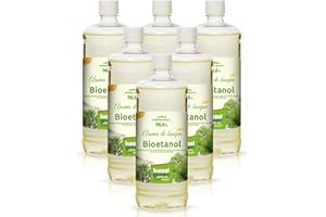 KieselGreen Bioetanol 6 x 1 litro con Fragancia para Chimenea de Etanol, Muchas Variedades – Bioalcohol como Fragancia de Ambiente – Estufas de Bioetanol, Biochimenea Etanol, Ethanol (W)