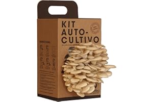 Kit de Cultivo de Setas en Casa | Cultiva Setas Ostra Frescas en 15 Días | Regalo Original para Foodies, Chefs y Amantes de la Cocina | Fácil y Divertido | Resetea