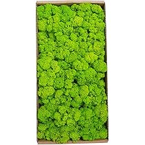 Muschio Stabilizzato Per Decorazioni - Naturale, Senza Manutenzione - Foto 2