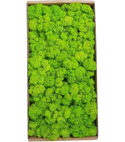 Muschio Stabilizzato Islandese Naturale - Verde Chiaro/Scuro Per Decorazioni, 500g - Foto 3