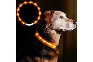 AMOMYDOG Collare Luminoso per Cani, Collare Cane LED USB Ricaricabile con 3 Modalità Illuminazione, Collare Di Sicurezza Tagliabile per Cani Gatti di Taglia Piccola Media Grande (Arancione)
