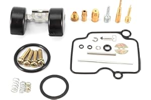 SHANRYA Professional Carburetor Rebuild Kit, Carb Repair Kit, Carburetor Accessory Durable Compatible with YM YBR125 JYM125 Compatible with Mikuni Carburetor VM22