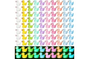 ATSGJLZN Mini Enten - 100 Stück, Kleine Resin Ducks - Miniatur Garten Finde das Kleine Entenspiel DIY (10 Farben)