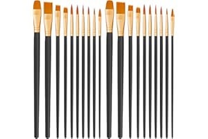CNMTCCO Juego de 20 Pinceles de Pintura de Nailon para el Cabello, para acrílico, óleo, Acuarela, Gouache, Pintura Facial, Pinceles para niños y Adultos (Azul) (Negro)