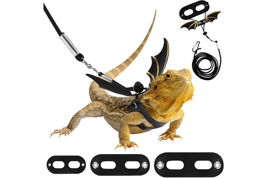 Pawaboo Pet Harness, 3 Leather Bearded Dragon Lizard Harness Hammock Set, Adjustable Outdoor Harness Lead for Small Pets, Lizard Reptiles - Black + Gold