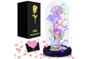 ZLPBAO PiÄ™kna i Bestia, róża w szklanej kopule, zestaw kwiatów róży, zaczarowana galaktyka, Å›wiatÅ‚o, prezenty dla kobiet