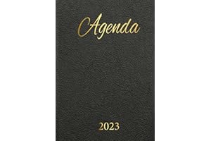 agenda 2023 semainier: 1 semaine sur 2 page,12 Mois de janvier à décembre, Grand format A4 21 x 29 Hebdomadaire en Français