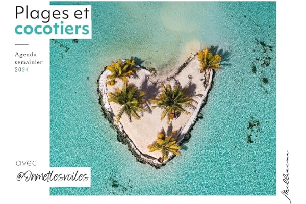 Semainier 2024 - Plages et cocotiers