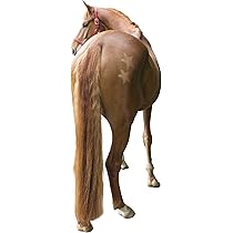 Stencil Per Cavalli Kerbl - Set Da 3 Pezzi Riutilizzabili Per Tocatura E Decorazione - Foto 8