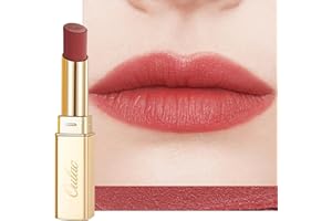 Oulac Rouge a Levre Mat Femme–Rouge à Lèvres Couleur Intense Waterproof & Sans Transfert, Haute Pigmentation, Fini Mat Doux, Texture Légère & Confortable, Hydratant, Maquillage Lèvres Végan RM01