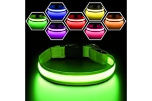 PcEoTllar Light Up Dog Collar, Dog Collar Light Rechargeable 7 Colors, LED Dog Collar with Light for Night Walking Waterproof & Adjustable for Small Medium Large Dogs, Green(7 Modes)-M