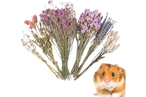 GENERICO Sábanas naturales para hámsters Flores Hierbas - Plantas de hámster | Spray para hámster | Spray para hámster | Decoración de hábitat con flores de animales pequeños | Accesorios para jaulas