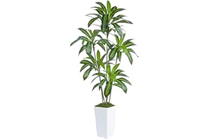 FSOHOI Artificial Dracaena Indoor 6FT Fake Tree with White Tall Planter, Tall Fake Floor Plant in Pot, Artificial Silk Plant for Home Decor Office Living Room Porch Patio Housewarming(5 Trunks 180CM)