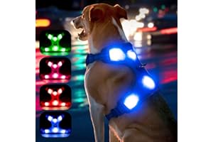YFbrite Uprząż dla psa świecąca - uprząż dla psa ładowana przez USB, odblaskowa uprząż dla psa, oświetlenie dla psa, wygodna regulowana uprząż dla psa, oddychająca migająca goździk dla psa (niebieski, duży)