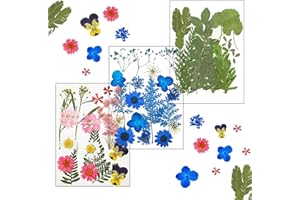 RKLLEJS Flores Secas Naturales, 52 Piezas Flores Prensadas Secas, Flores Prensadas Naturales, Flores Secas, Hojas Secas Prensadas, para Decoración Tarjetas Álbum Recorte Scrapbooking Velas Joyas Manualidades