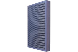 LRFDRESS Filtre à air composite 2 en 1 HEPA et filtre à charbon actif pour Samsung AX60R5080WD AX60M5051WS AX60T5080WD/ER CFX-D100/ER CFX-D100/GB