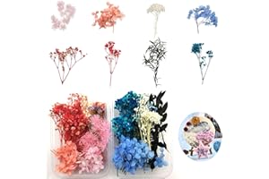 CYIOU 2 Kisten Natürliche Getrocknete Blumen Mini Trockenblumen Bunt Gemischte Gepresst Blumen Blätter Set für DIY Karten Basteln Kerze Handwerk Epoxidharz Scrapbooking Dekoration