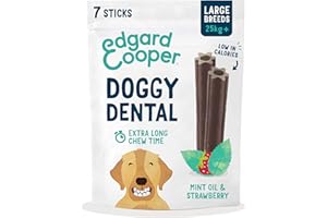 EDGARD COOPER Edgard & Cooper - Dental Dental Large alla Fragola e Menta - 255 gr