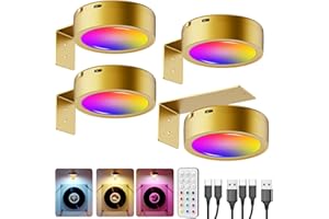 ‎TEDMOS RGB Bildbeleuchtung Kabellos, 2600mAh Akku Bilderleuchte Gold, Dimmbar Bild Beleuchtung Batterie, Bilderrahmen Licht Magnetisch Vitrinenbeleuchtung USB Aufladbar LED Spot mit Fernbedienung für GemäLde