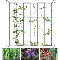 Filet De Tente De Culture 120x120 Cm Farnirvana - Support Plantes Grimpantes