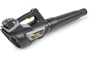Alpina ACS 40 Li - Soffiatore a Batteria, 40 V, 720W, 50 m/s, Batteria e caricabatteria non inclusi, Nero