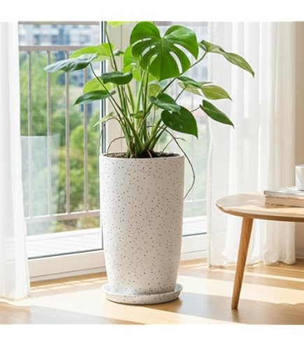 鉢・プランター TOKY mo Table Pot S RSP HOME DECOR Tokyo Pots for Plants (24 inches Height)| Highly