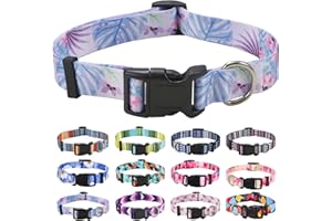 Mihqy Collier pour Chien, Motif Tendance avec Boucle à dégagement Rapide, Bohème, Fleur, Géométrique, Tribal Design, Collier Classique, pour Petits, Moyens et Grands Chiens(Fleur de Monstera,M)