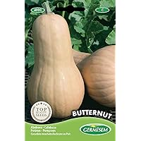 Germisem Kürbis BUTTERNUT
