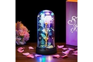 Ewige Rose im Glas mit Licht,ELEUTH Schöne und Das Biest Rose Geschenke für Freundin Konservierte Rose,Infinity Rose Geburtstagsgeschenk für frauen/Jahrestag/Valentinstag/Muttertagsgeschenke für mama