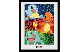 GB öga Pokémon startare 30 x 40 cm inramat samlartryck