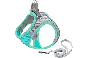 GIAPINST Pettorina Cane, Pettorina Gatto Antifuga, Gilet per Animali Domestici Regolabile con Rete Traspirante e Striscia Riflettente per Cani e Gatti di Piccola, Media Taglia (XS-Verde e grigio)