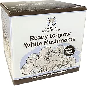 Merryhill Mushrooms - Grow Your Own Fresh White Mushroom Growing Kit (Single White Mushroom Kit)