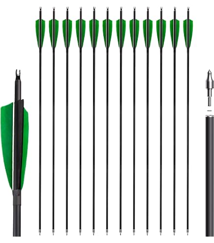 24 Flèches Carbone Pour Arc - Spine 300 à 800, Longueur 22-31 Pouces, Diamètre Intérieur 6.2mm, Avec Encoches Rotatives