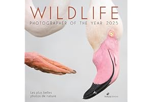 Wildlife Photographer of the Year 2025: Les plus belles photos de nature