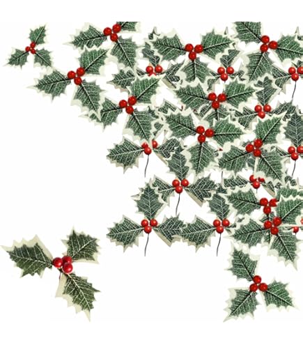mucplants Ilexzweig Grn-Wei mit roten Beeren Hhe 52cm Kunstzweig  Knstlicher Ilex Kunstblumen : Amazon.de: Kche, Haushalt & Wohnen