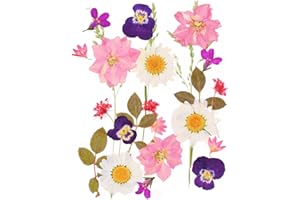 CUIDAKJ 24 Piezas Conjunto de Flores Secas Naturales Prensada Mezclada Decoraciones Preservadas Manualidades para Velas de Bricolaje,Joyería de Resina Bricolaje Manualidades álbumes de Recortes-Estilo 1
