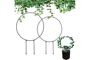 EQLEF Metal Garden Trellis for Climbing Plants 2 Pcs, Round Decorative Metal Garden Stakes Plant Support Stakes for Indoor and Outdoor Ivy Hoya Plant