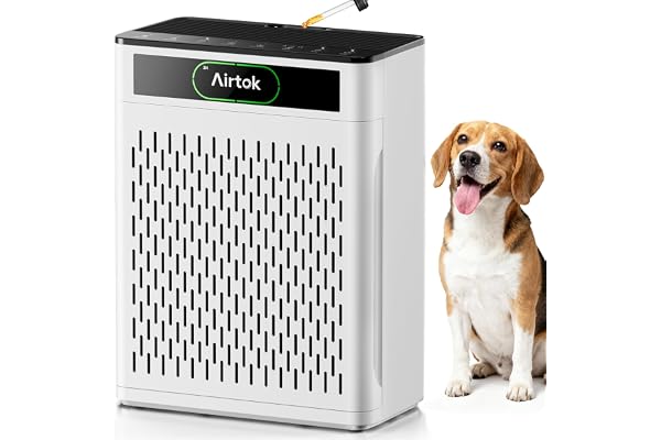 AIRTOK Luftrenare, täcker upp till 170 m², HEPA-filter för allergier, rök, husdjursdander och lukter, med tvättbart filter, sömnläge, PM 2,5 luftkvalitetsmonitor, aromaterapi