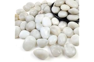 SHIZWU White Pebbles for Garden, Decorative Stones for Plant Pots, Vase Fillers, Aquarium, Fish Tank (20-40mm, 0.9kg)