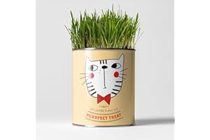 THE PLANT GIFT COMPANY Cat Friendly Plants Luxury Grow Kit, The Plant Gift Co. Purrrfect Treat, Gardening Gift; Catnip, Catmint and Cat Grass.