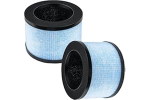 DAODEFUL Filtro di ricambio per depuratore d'aria CONOPU DH-JH01 & DH-JH06, 3 in 1, H13 True Hepa con carbone attivo ad alta efficienza e prefiltro di ricambio (2 pezzi)