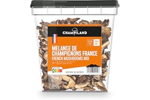 CHAMPILAND - Mélange de Champignons France Séchés - Pleurote, Shiitaké, Champignon de Paris, Chanterelle - Triés à la Main dans le Sud-Ouest de la France - Saveur Exceptionnelle - Pot de 500 g