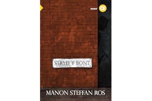 Cyfres Amdani: Stryd y Bont