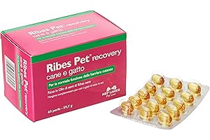 NBF Lanes Ribes Pet Recovery, 60 perles, 59,7g, transparent, gel, chiens, chats