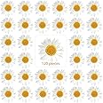 120 Pieces Real Dried Daisy Flowers Natural Dried Daisies DIY Dry Daisy Petals Pressed Chrysanthemum Flowers for Album Scrapbooks Resin Soap Art Decors Handicrafts (Primary Color) (Primary Color)
