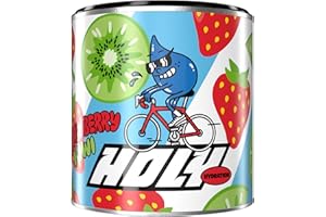 HOLY ENERGY HOLY Hydration 'Strawberry Kiwi' | 50 portions avec de précieux électrolytes & minéraux | Boisson hydratante | Végétalien avec des arômes de fruits 100% naturels (350g)