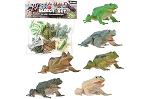 FLORMOON Animal Figures 6pcs Realistic Frog Action Model Science Project, Learning Educational Toys, Birthday Gift, Cake Topper for Kids